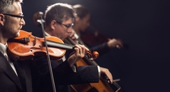 Afbeelding over Samen naar een concert of tentoonstelling